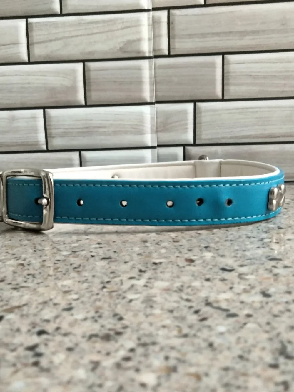 Blue, White & Chrome Leather Dog Collar 26